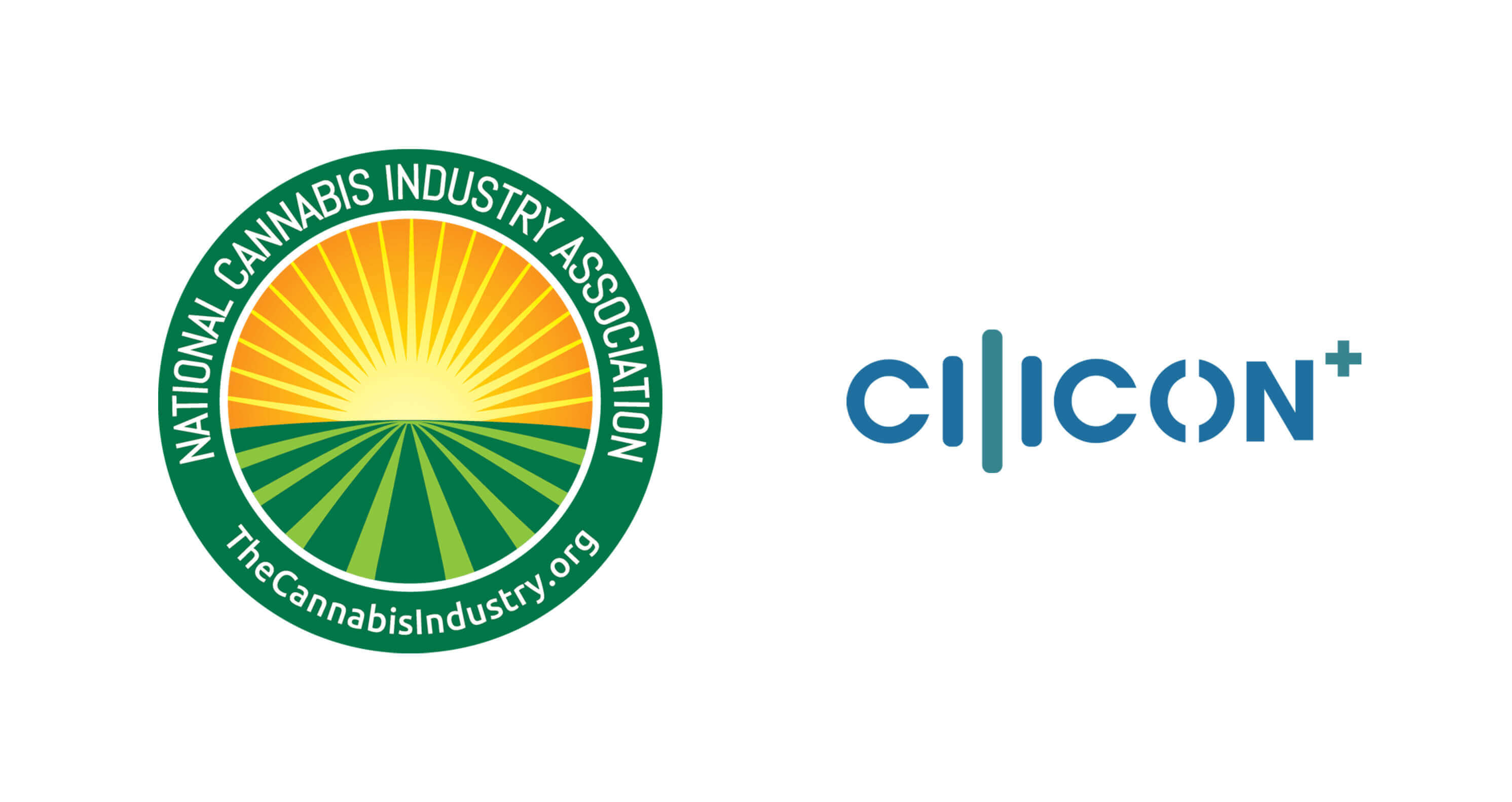 cilicon joins NICA.jpg