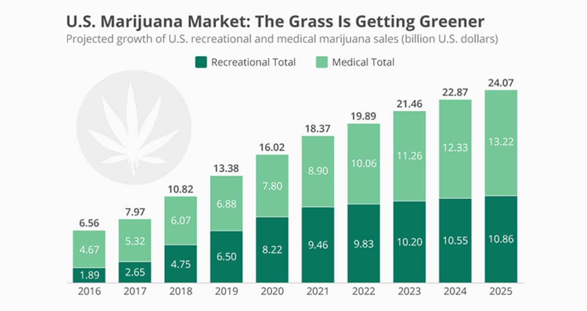 medical cannabis growth.jpg