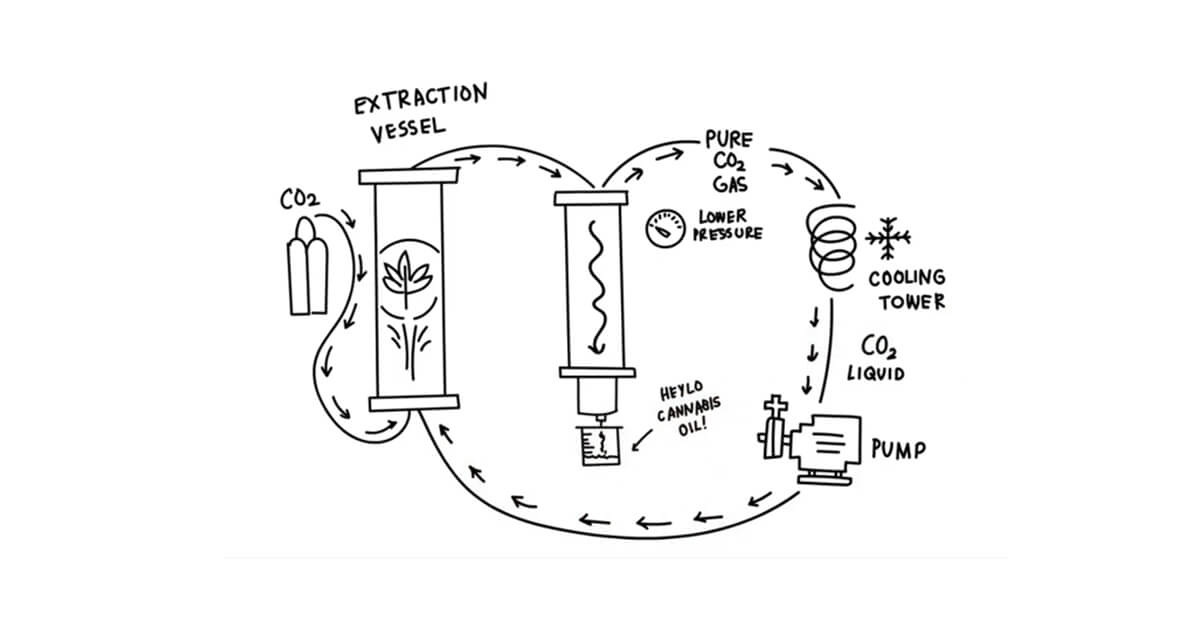 CO2 EXTRACTION.jpg