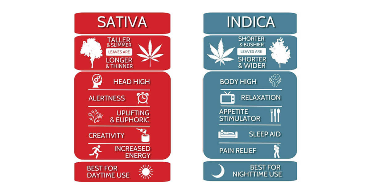 SATIVA AND INDICA.jpg