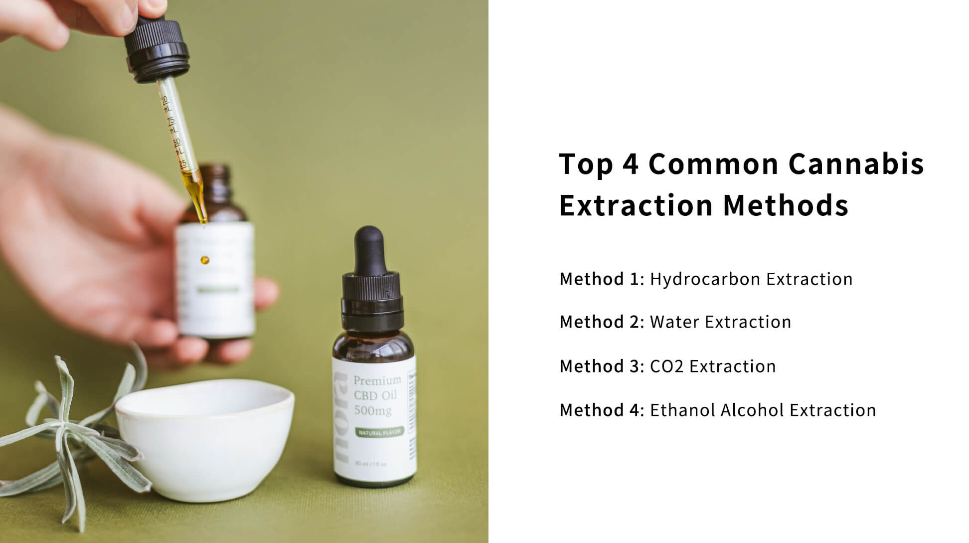 cannabis extraction methods.jpg