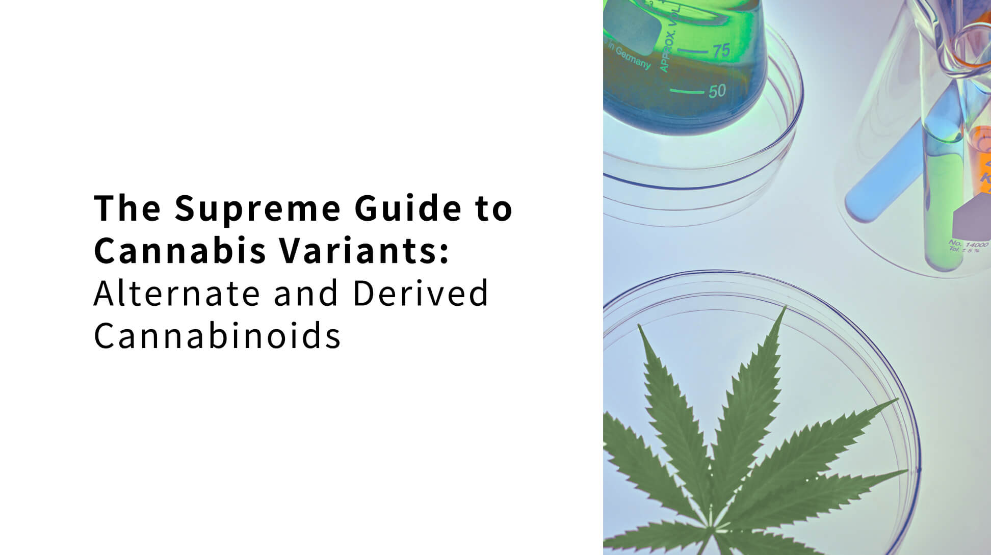 cannabis variants and derived cannabinoids.jpg