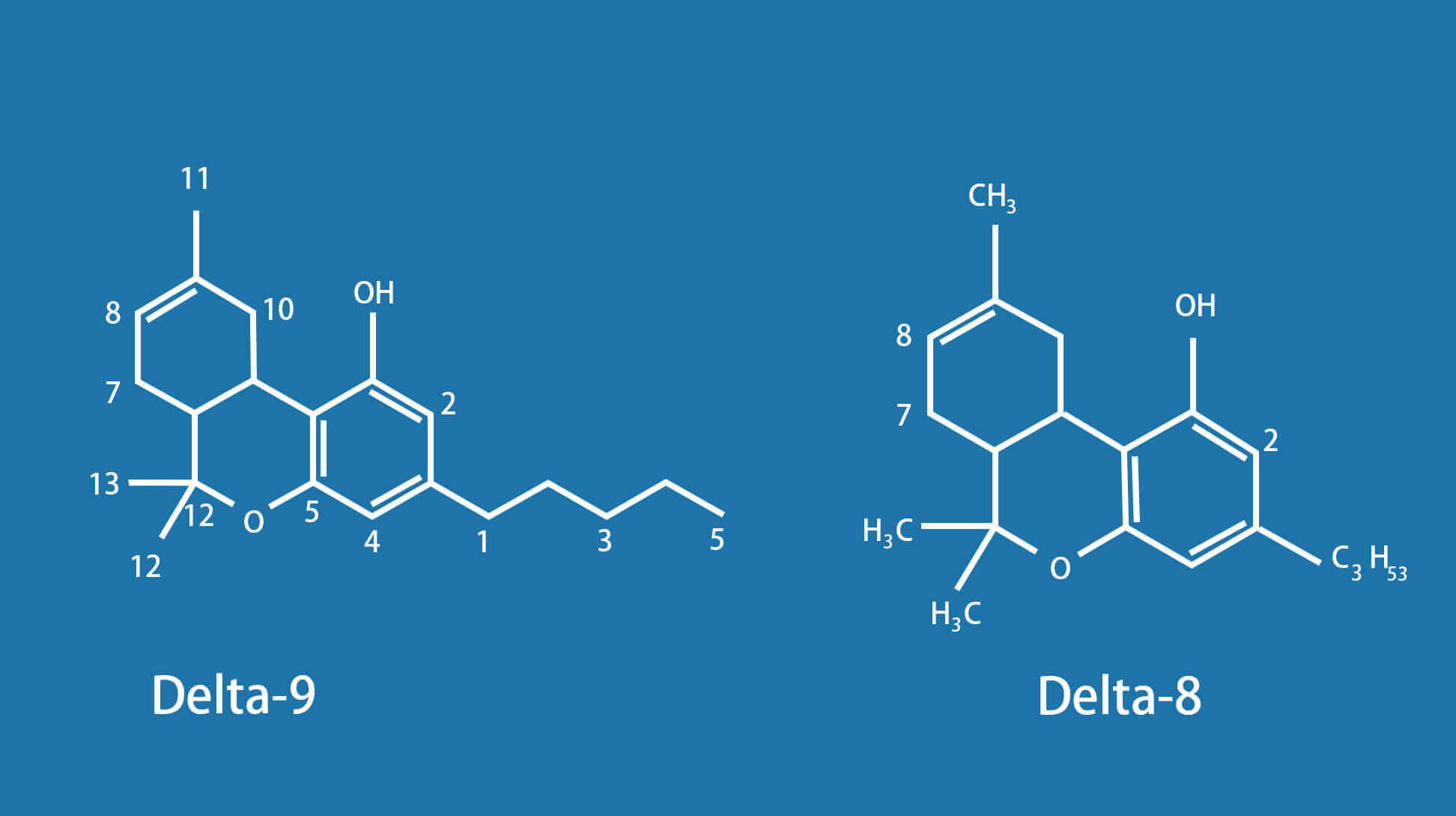 Delta 8 vs Delta 9 (2).jpg