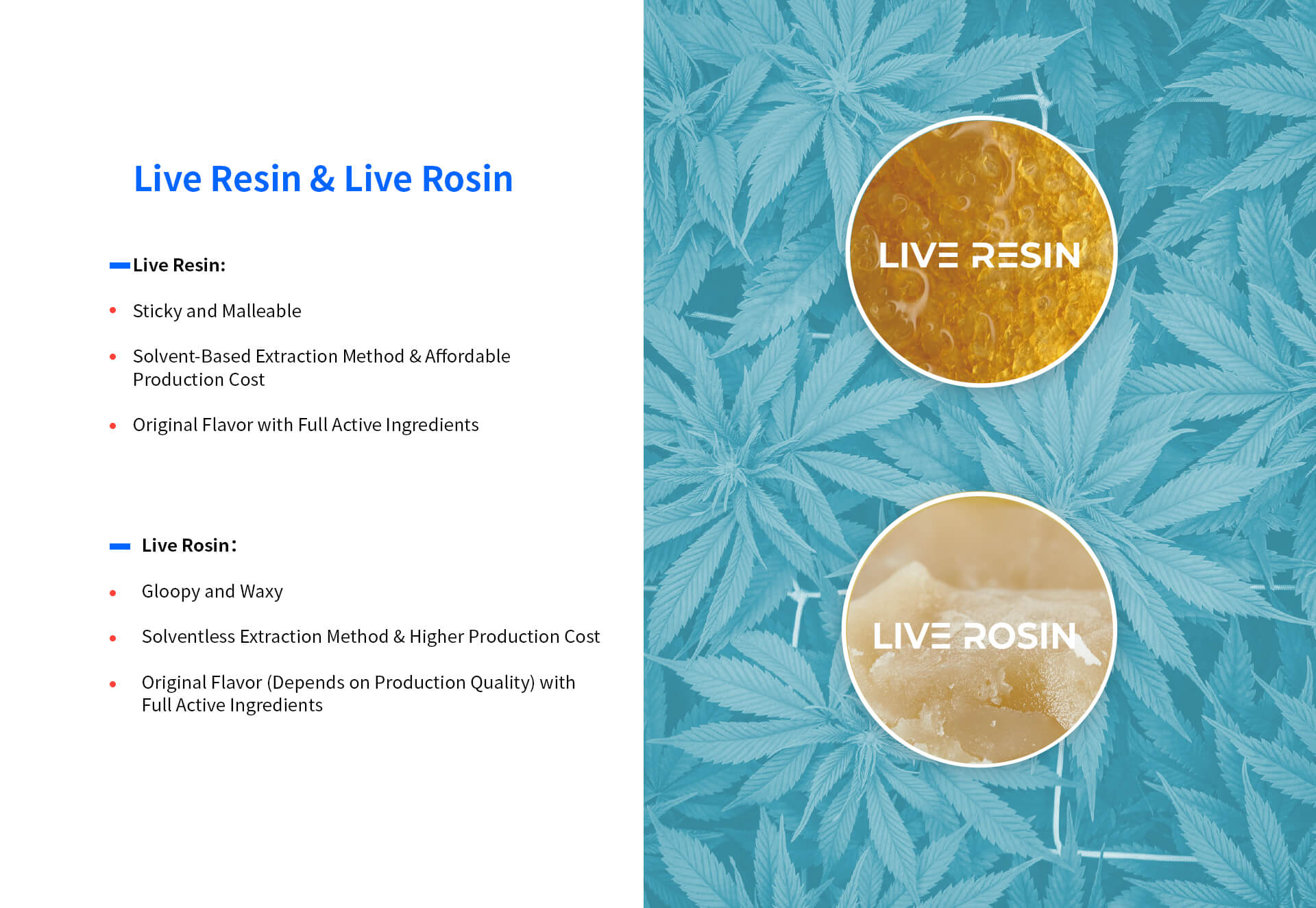 live resin and rosin
