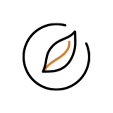 Reoregin™-Technology