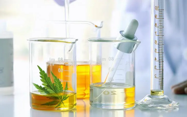 Common Cannabis Extraction Method and Its Costs
