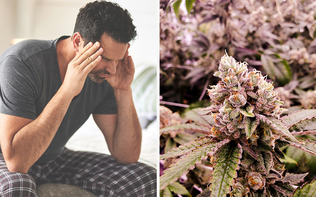 Weed Hangover How To Get Rid Of It