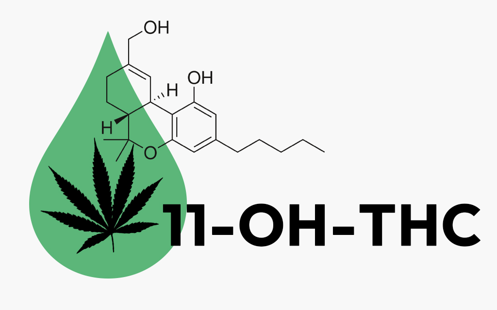 What is 11-hydroxy-THC-(11-OH-THC)