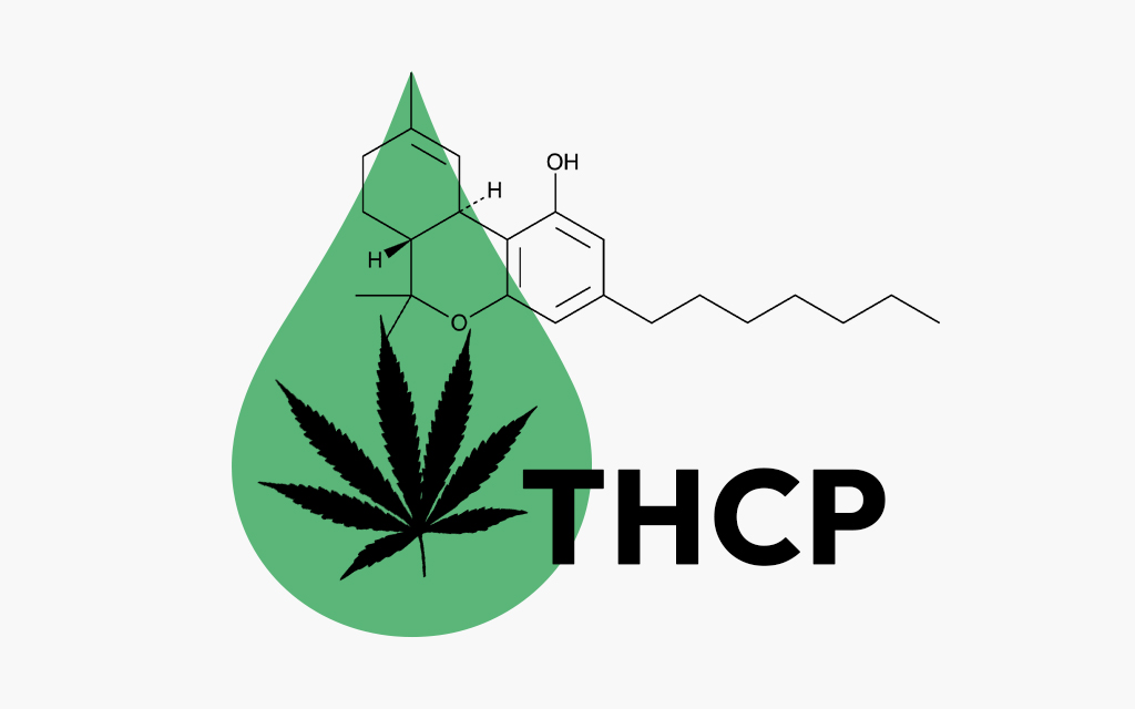 What Is THCP: Benefits, Risks, and Legality