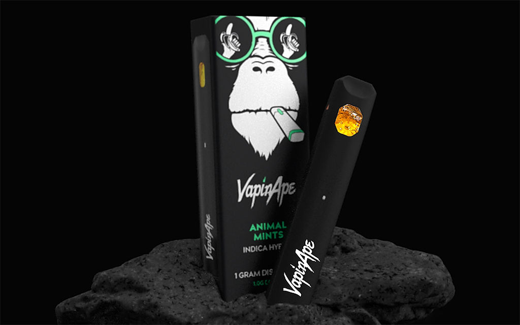 Vapin Vape