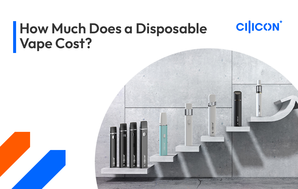 How Much Is A Disposable Vape Vape Archives - Cilicon