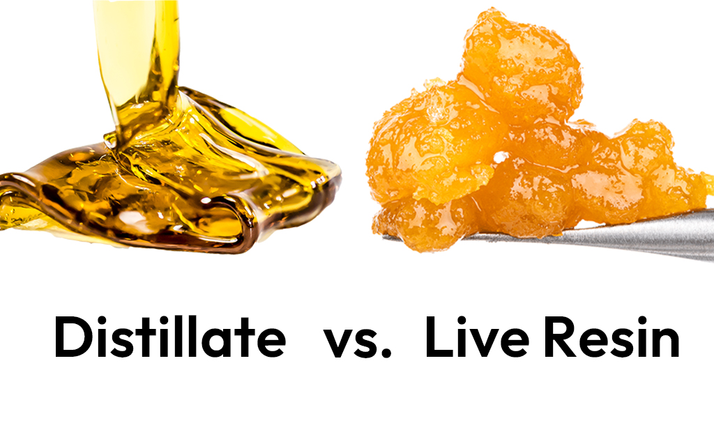 Live Resin vs. Distillate: What’s the Difference?
