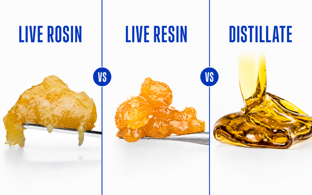 
live-rosin-vs-live-resin-vs-distillate-comparison