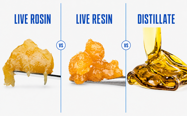live-rosin-vs-live-resin-vs-distillate-comparison-385x240