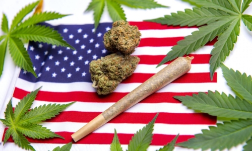 American-Cannabis-Companies