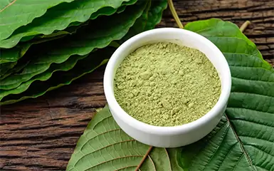 Does the Military Test for Kratom Find out if You are at Risk
