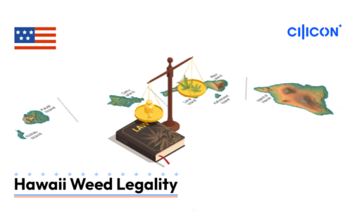 Hawaii-weed-legality