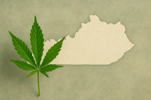 How To Get A Cannabis License In Kentucky