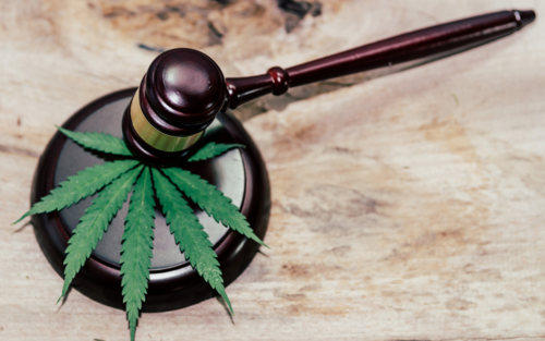 Marijuana-Tax-Act-1937-Summary-Impact-Evolution-with-PDF