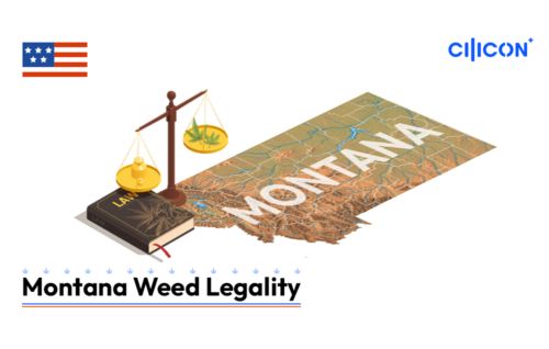 Montana-Weed-Legality