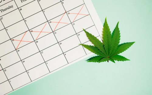 T-Break-How-to-Take-Weed-Tolerance-Break-1