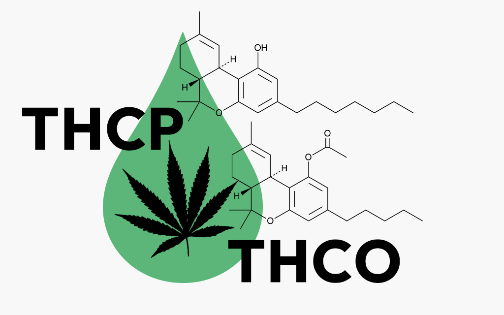 THCP-vs.-THCO