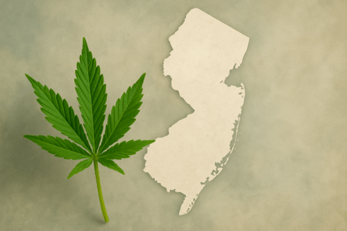The Ultimate Guide to the New Jersey Cannabis License 2025