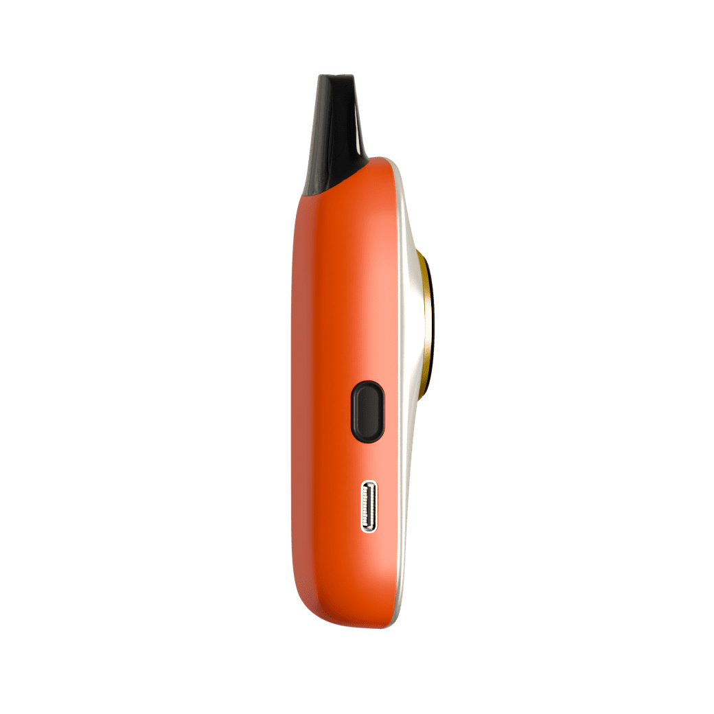 VIVA 1 (10)