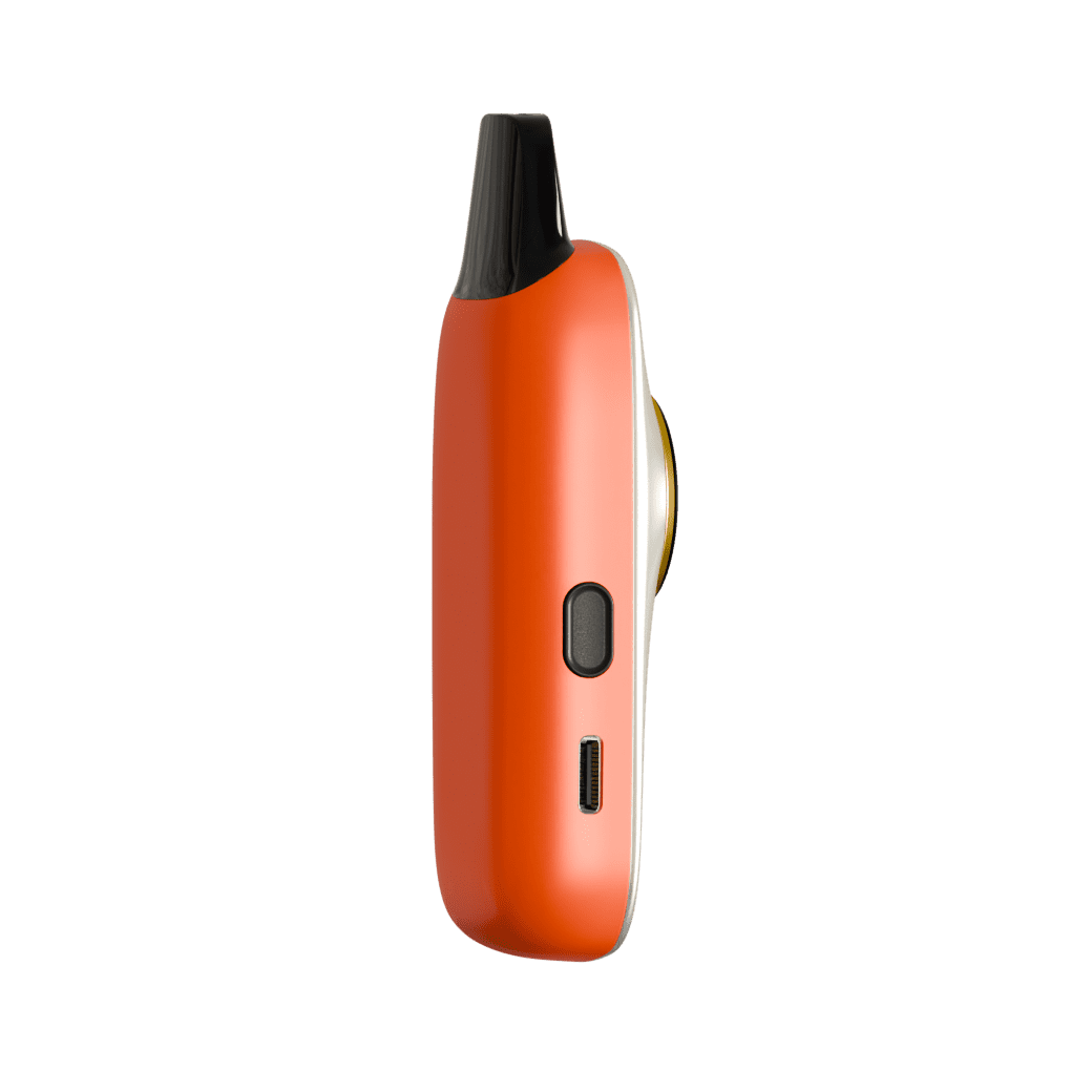 VIVA 1 (11)