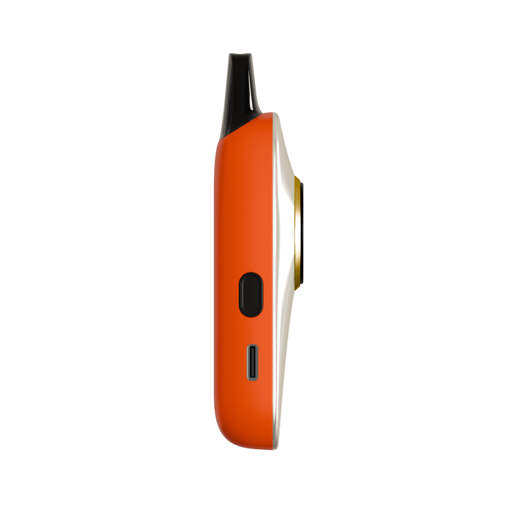 VIVA 1 (9)