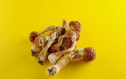 can-you-smoke-shroom