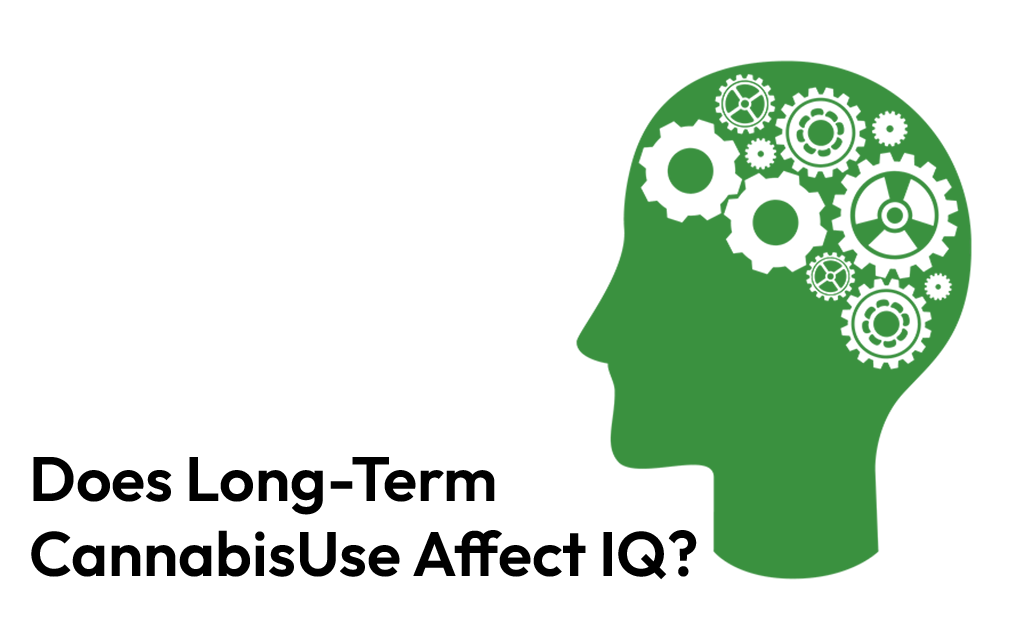 iq-Brain-1