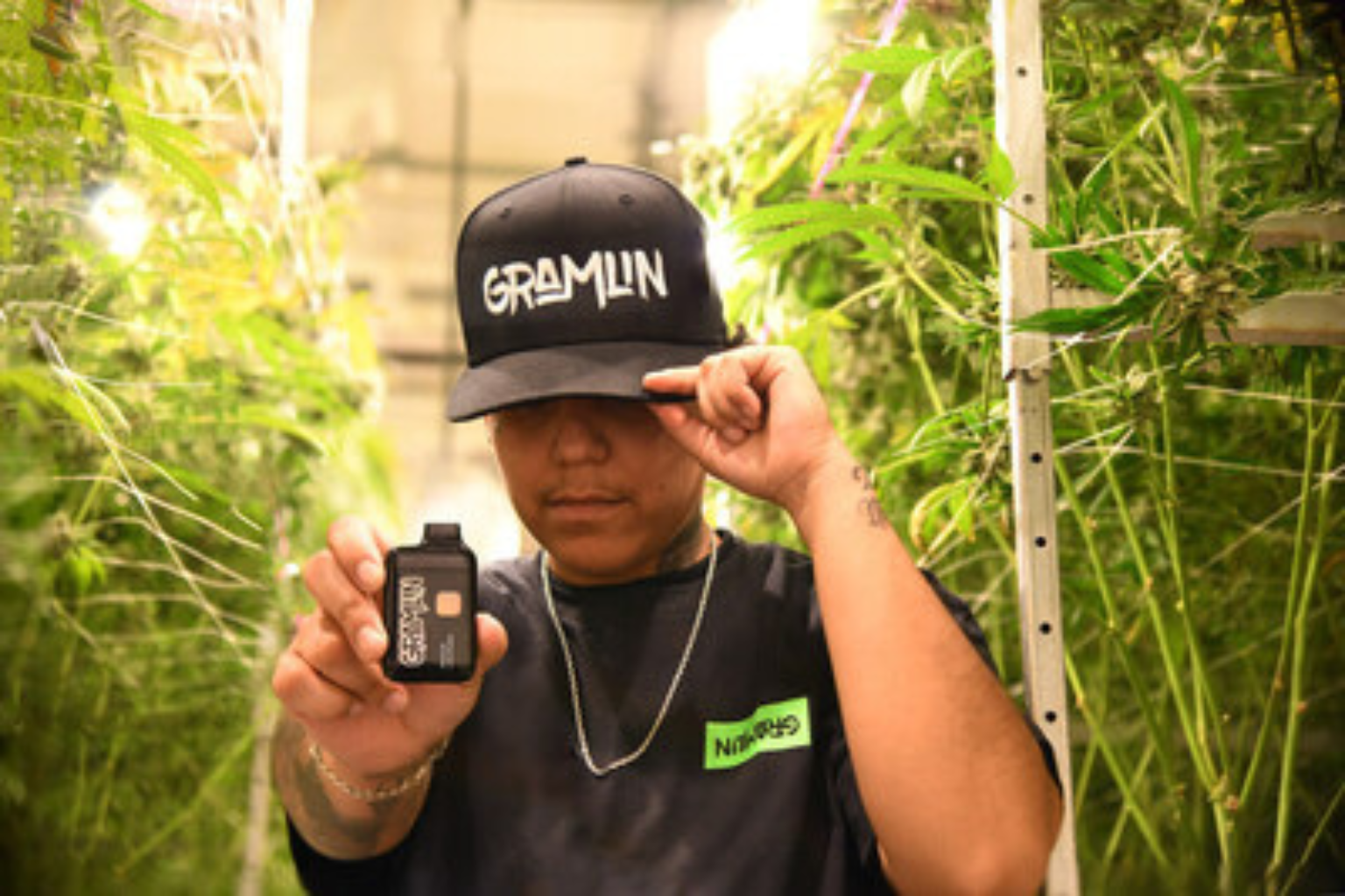 Gramlin 