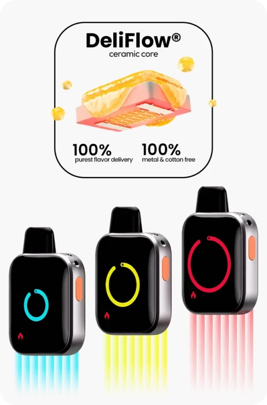 DELIFLOW Ceramic Core + WATCHA